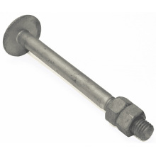 Tower Pole Step Bolt with two hex nuts
